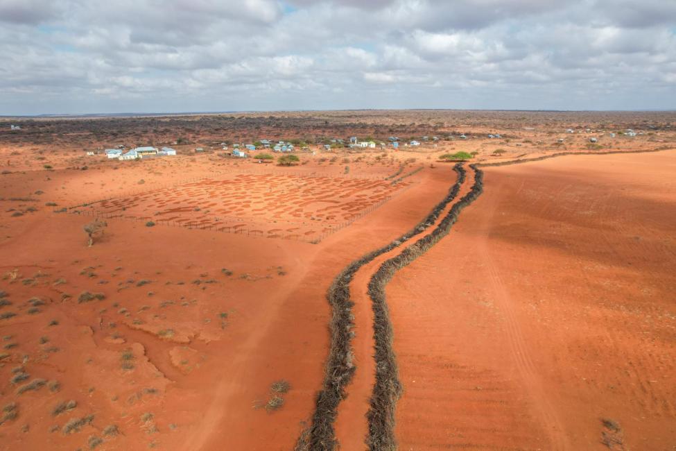 Somali Village Turns Floods into Fertile Fields through IOM-Supported Restoration Project